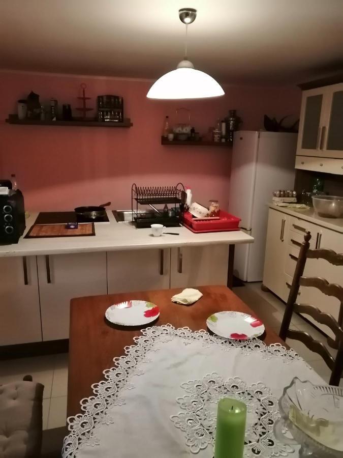 Noclegi Przy Kominku Miedzyles  外观 照片
